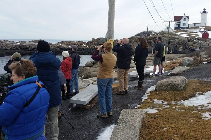 a group of people on a beach