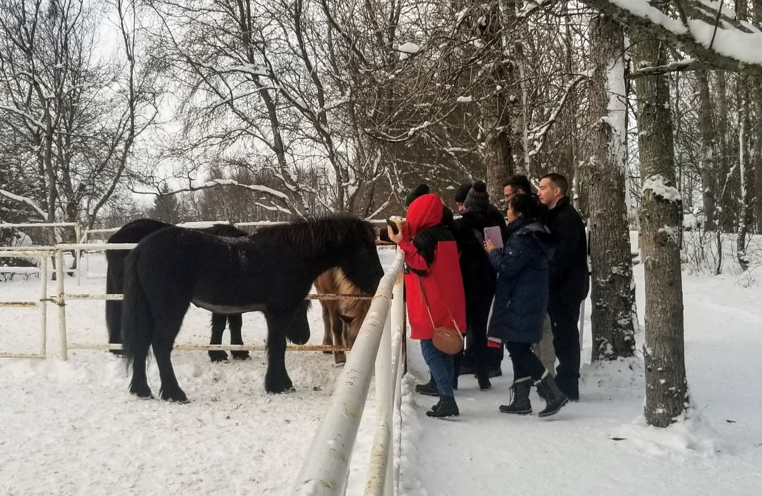 a couple of people that are standing in the snow