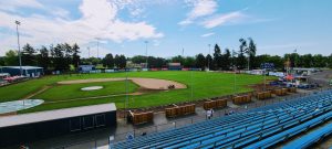 a flock of sheep in a fenced in area