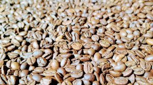 a close up of a rock