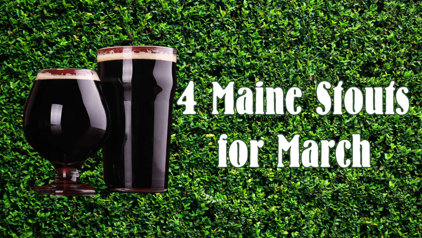 Stouts on a green background.