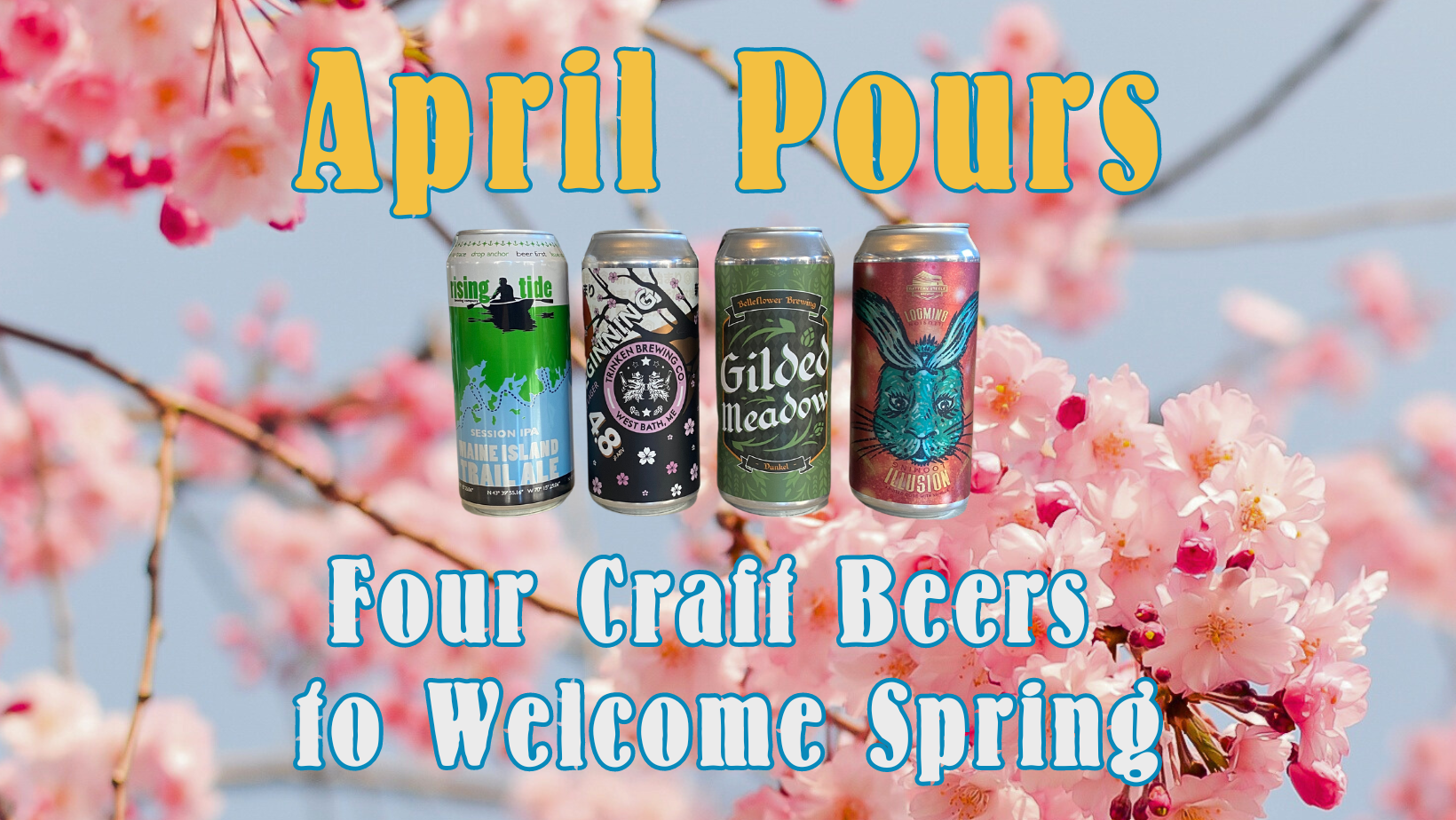 Four different beer cans overlay a background of cherry blossoms. Maine Craft Beer Picks for April weather.