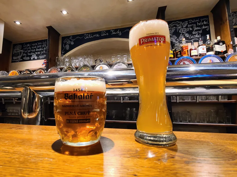 Two glasses of beer on a wooden bar with taps and shelves in the background.