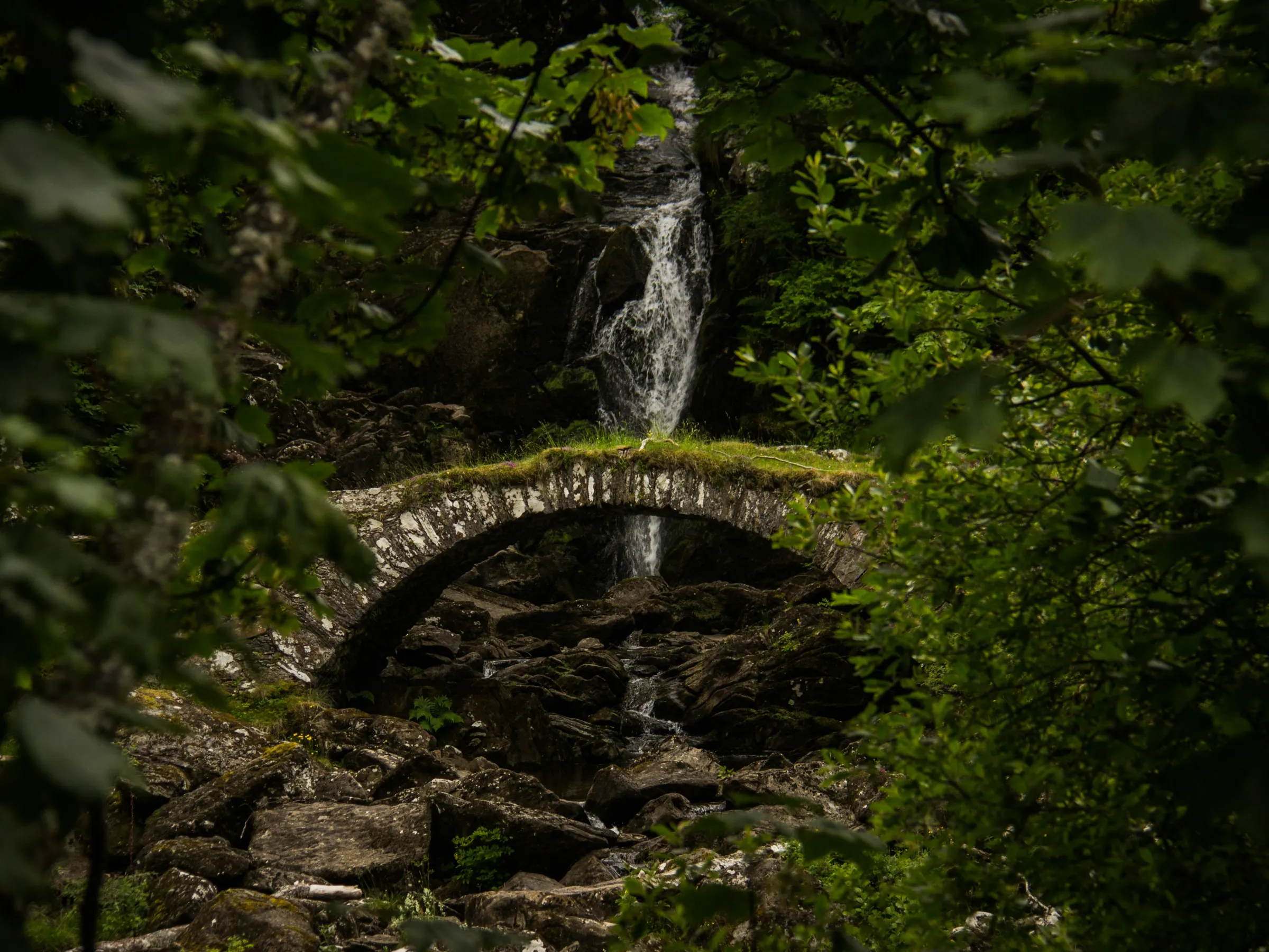 Stone bridge over rocks with green foliage and waterfall in background.