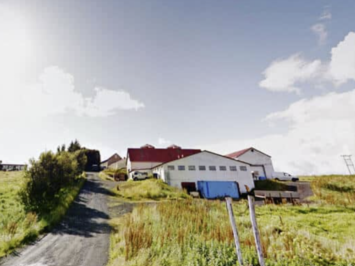 Rural landscape with houses, path, and green fields under a blue sky.