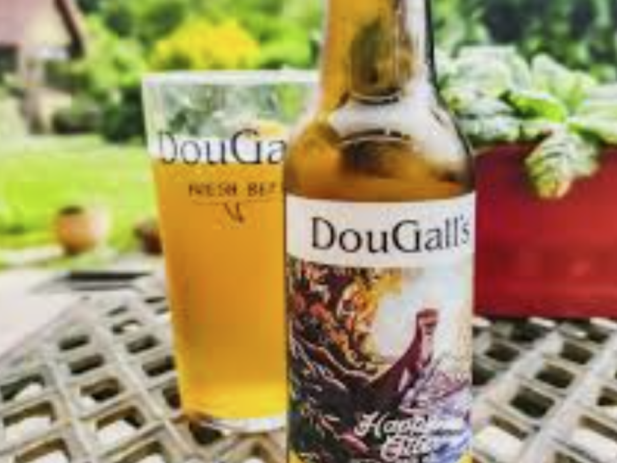 Beer bottle and glass on outdoor table with green plants in background.