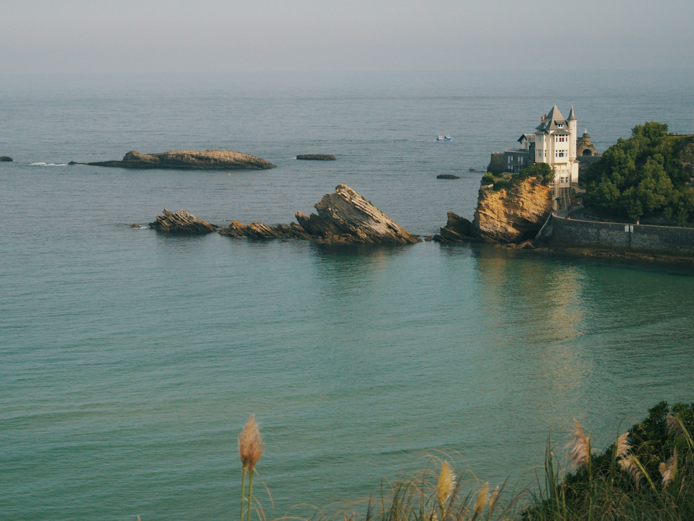 Coastal view with a castle on cliff, ocean, rocks, and grasses in foreground.