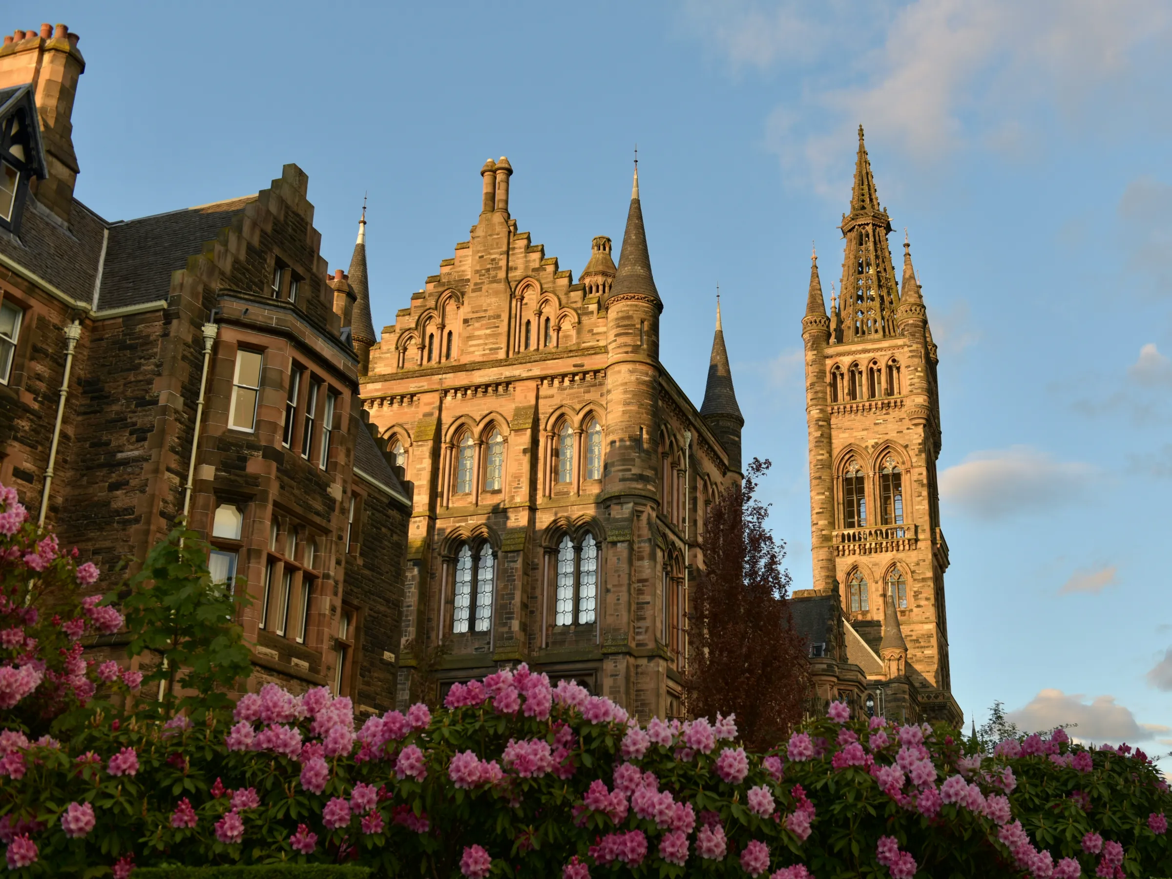 Gothic-style building with spires and pink flowers in foreground, under a blue sky.