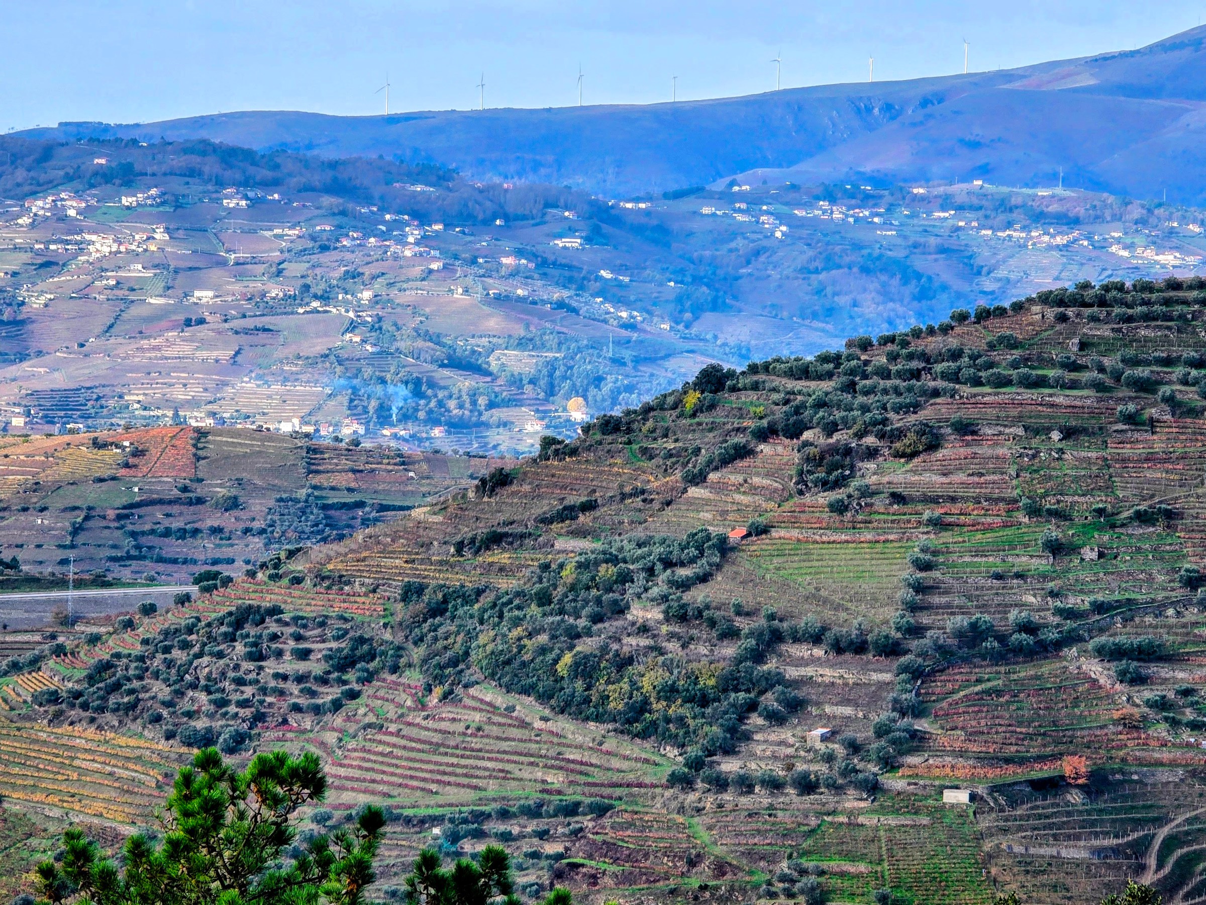 Hillside with green terraces and small houses under a blue sky.