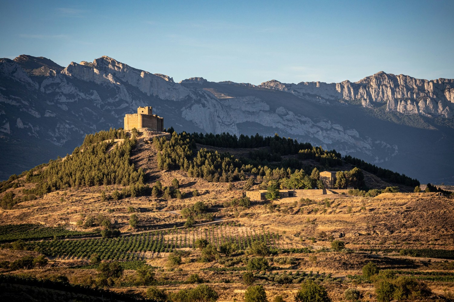 A castle on a forested hill with a mountain range in the background.
