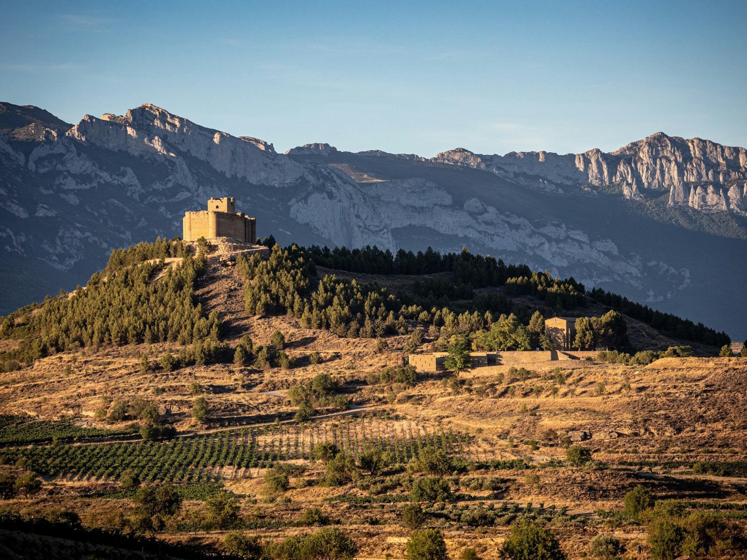 A castle on a forested hill with a mountain range in the background.