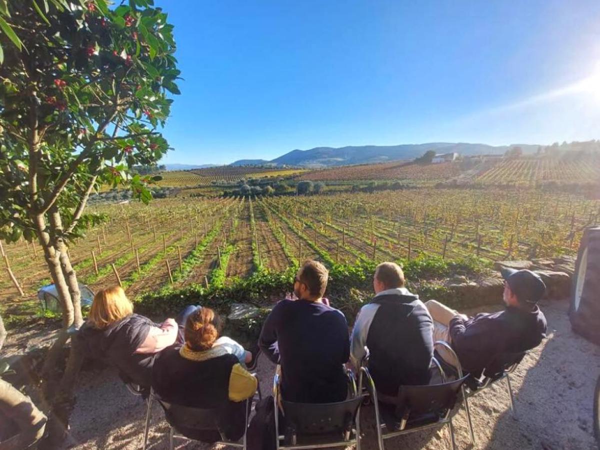 Four people seated outdoors, overlooking a vineyard with hills in the background on a sunny day.