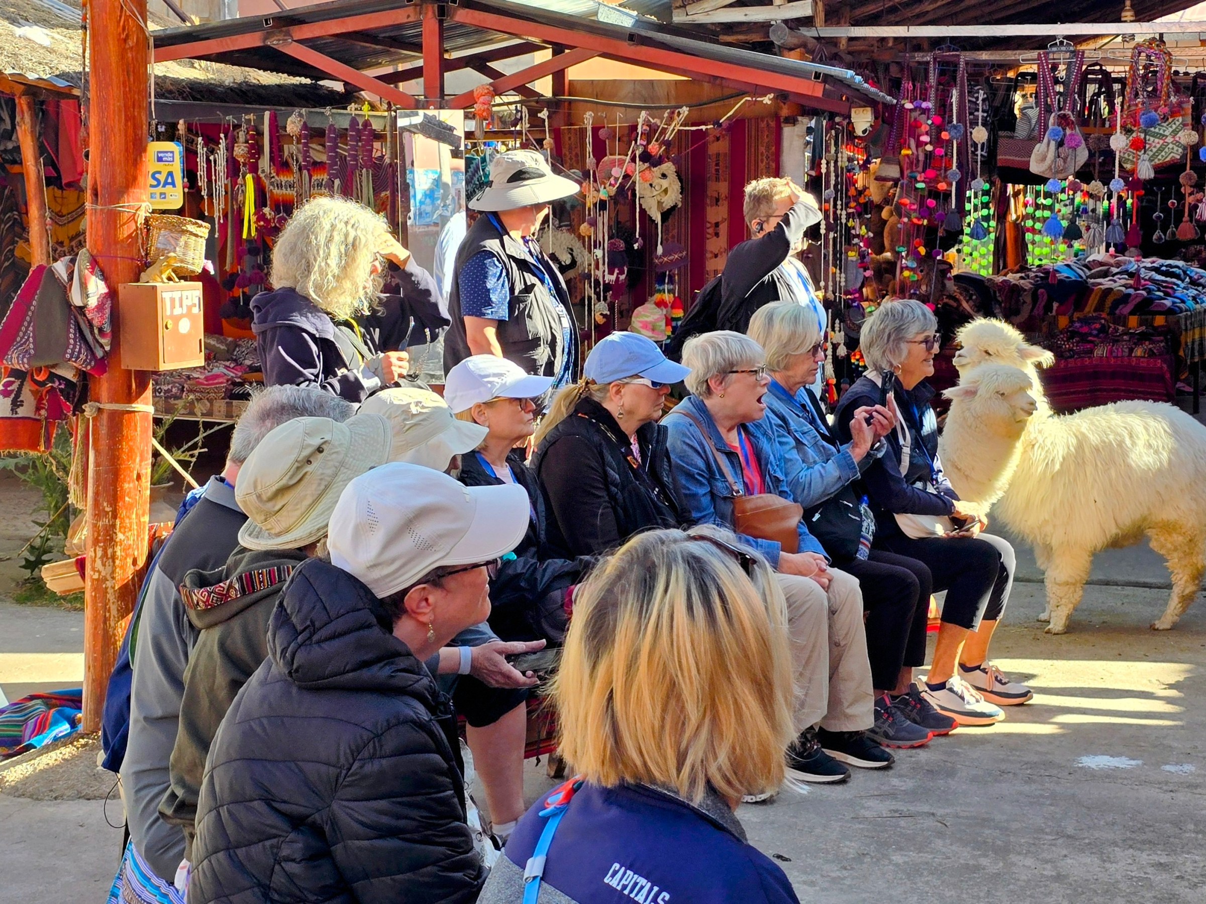 Group of seated tourists at a market with an alpaca nearby.